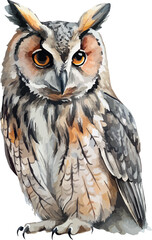 Long Eared Owl Watercolor Vector Illustration
