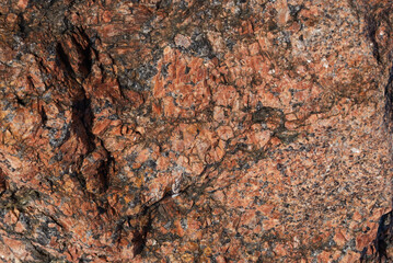Red-brown granite surface in natural conditions.