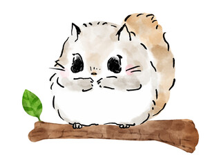 エゾモモンガ　枝でくつろぐエゾモモンガ　かわいい絵本風イラスト