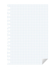 破れた方眼紙のノートの紙。青いグリッドの入ったシンプルなベクターイラスト。