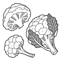 Three Cauliflower Vegetables Line Art food healthy eating