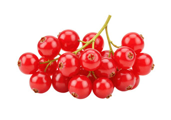 Isolated bunch of vibrant redcurrant berries for fresh summer fruit ideas and food designs