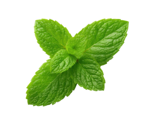 Close-up of fresh mint leaves (5)