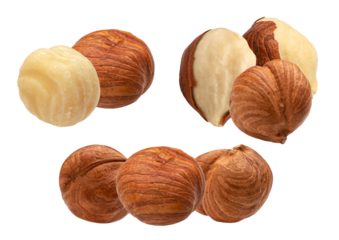 mix of fresh hazelnuts, both shelled with light skins and blanched peeled nuts, arranged and isolated on a pure transparent background.