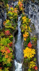A dramatic view down a deep gorge with a rushing river. Vibrant autumn foliage lines the steep rock walls. The scene is captured from above