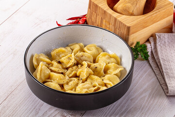 Tasty Russian dumplings with meat
