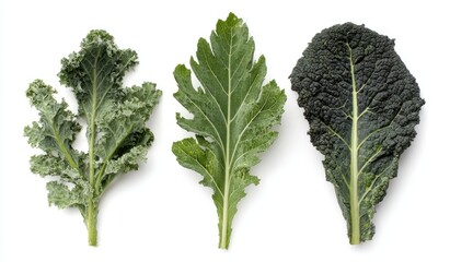 Fresh leafy greens arranged