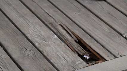 Obraz premium Broken wooden terrace board — damaged outdoor decking
