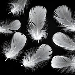 Obraz premium A stark black backdrop accentuates delicate, pristine white feathers scattered. Their soft textures and intricate structures are showcased