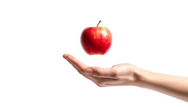 りんごに触れる手｜背景なし・透過PNG