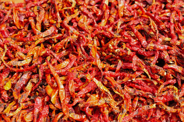closeup dried chilies dried in the yard