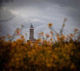 View of the Faro de Cabo Mayor lighthouse partially obscured by orange autumn flowers under a cloudy sky in Santander, Spain