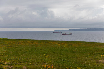 Cargo ships sailing on calm ocean waters under a cloudy sky with green grassy foreground and distant coastline