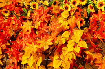 Artificial autumn leaves and sunflowers on wooden background