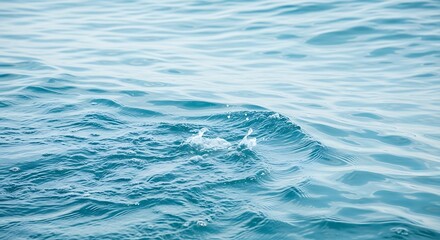 Serene Ocean Surface with Gentle Waves and Turquoise Water.