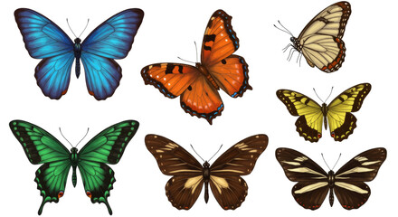 Obraz premium A vibrant collection of diverse butterfly species showcasing intricate patterns and stunning colors, perfect for artistic inspiration and nature studies