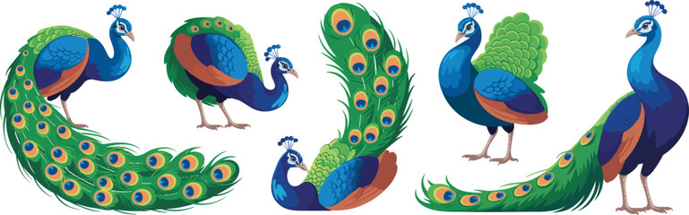 Elegant Peacock Collection: Ornamental Bird Illustrations on White Backdrop – Exotic Wildlife with Vibrant Plumage & Feathers for Nature, Decoration, Design, Advertising & Presentation – Royal Blue &