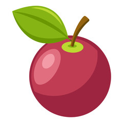 Illustration of a fresh cranberry with green leaf the cranberry is a healthy and delicious fruit, perfect for a snack