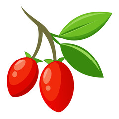 Illustration of goji berries with leaves, a healthy fruit with antioxidant properties, often used in traditional medicine and cuisine
