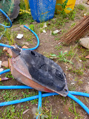 Discarded fuel tank lying on ground with blue hose