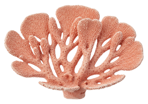 Elegant pink coral isolated on transparent background, sea life decoration for marine and nautical themes