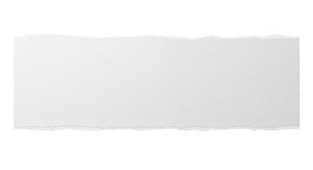 A strip of textured white with realistic torn edges, blank for text. Isolated on transparent background,