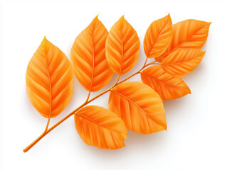 Vibrant 3D Illustration of Orange Leaves for Seasonal Design and Natural Elements