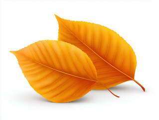 Bright Orange Leaves in 3D Style for Seasonal Illustration and Design Elements