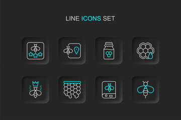 Set line Bee, Book about bee, Honeycomb, Queen, Jar of honey, location and Type icon. Vector