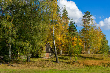 Kolorowa jesień na Wzgórzach Sokólskich, Podlasie, Polska © podlaski49