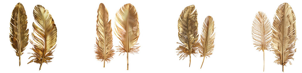 Fototapeta premium Collection of four golden feathers isolated on transparent background, showcasing different textures and sizes