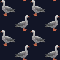 Obraz premium Two gray geese, painted in a delicate watercolor style. They are arranged diagonally, one higher, the other lower, as if in a smooth movement or a light dance.