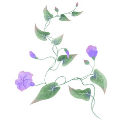 Watercolor Floral Arrangements Clipart | Hand-painted Flowers PNG