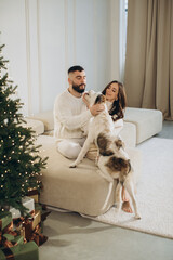 Obraz premium Couple petting dog near christmas tree with gifts