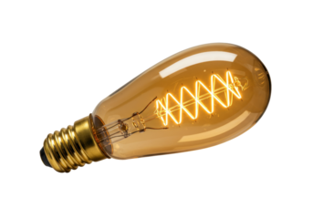Vintage Edison bulb PNG isolated on transparent background, antique style lightbulb for retro design and decoration