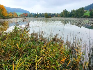 Herbst am Bettenauer Weiher