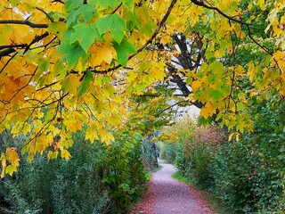 Der Herbst ist bunt