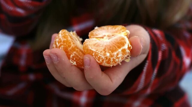 Christmas tangerines with green leaves in children's hands on the background of red plaid pajamas. A cozy Christmas evening. New Year and Christmas Mood