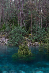 Cold Clear Water in Southern Tasmania