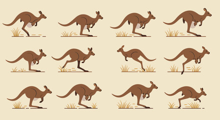 Twelve illustrations show brown kangaroos some with joeys in various hopping poses