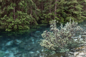 Cold Clear Water in Southern Tasmania