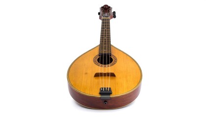 Naklejka premium Wooden stringed instrument