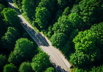 Winding Road Through Lush Green Forest: Aerial View of Asphalt Serpentine Path Cutting Through Dense Tree Canopy Scenic Landscape