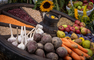 Colorful selection of  agricultural summer crops fruits and vegetables in an old wooden carriage...