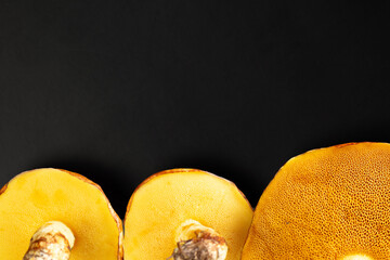 Close-up of butter mushroom cap underside with detailed pores and bright yellow texture on black background. Natural macro of edible wild fungus, organic food concept.