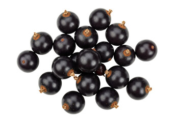 Isolated group of fresh blackcurrants for food ingredient or summer fruit salad