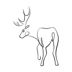 Reindeer, deer line art drawing svg cut file. Isolated vector illustration.