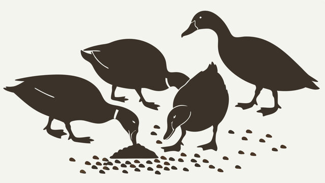 Ducks Feeding on Seeds Silhouette Graphic for Nature Wildlife Education Agriculture Farming and Community Teamwork