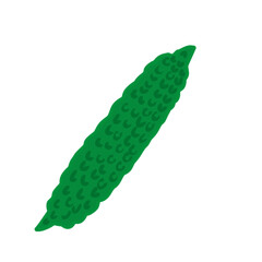 Bitter gourd  vegetables simple illustration
ゴーヤ　野菜　シンプル　イラスト