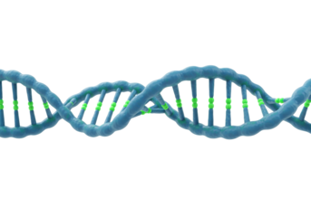 Blue DNA molecule isolated on transparent background, double helix structure for science and medical research PNG